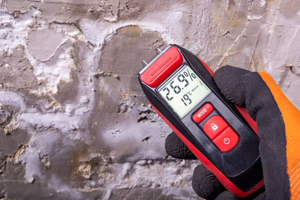 Best Emergency Mold Removal  in Naples, FL