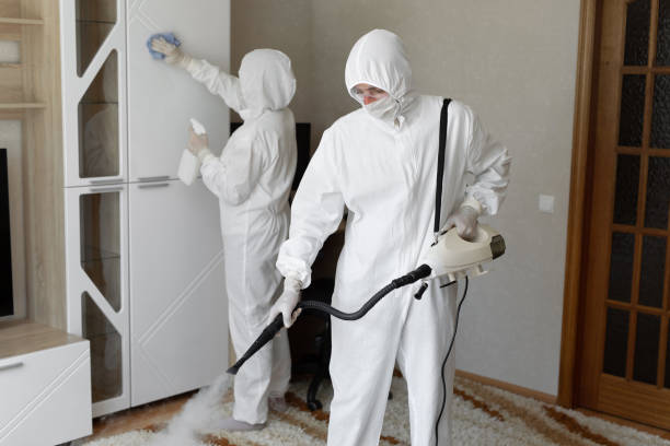 Best Professional Mold Removal  in Naples, FL